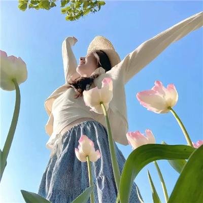后备计划 海报