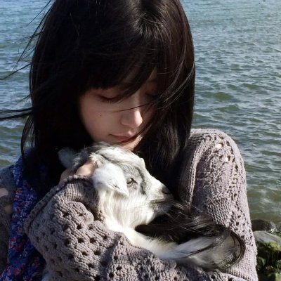 蓝波:最后一滴血 海报