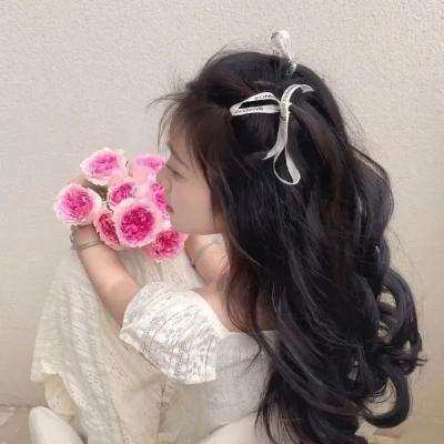 锦绣恒河 海报