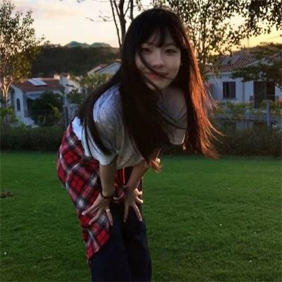 追鹰日记 海报